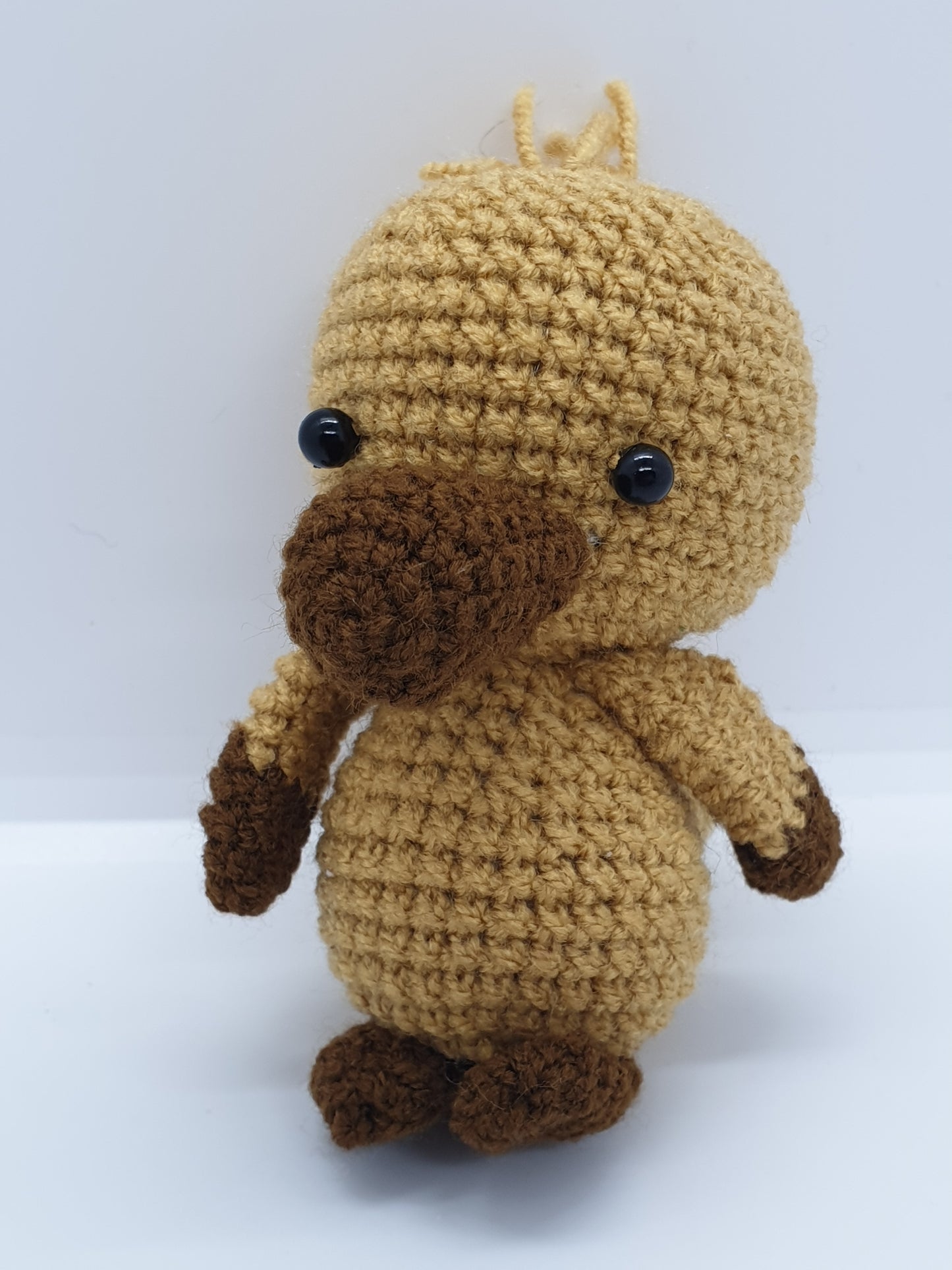 Cute Creature - Platypus