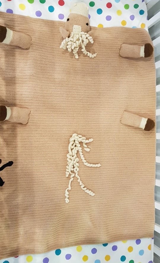 Baby Blanket - Horse