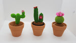 Cute Creature - Cactus Family