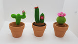 Cute Creature - Cactus Family