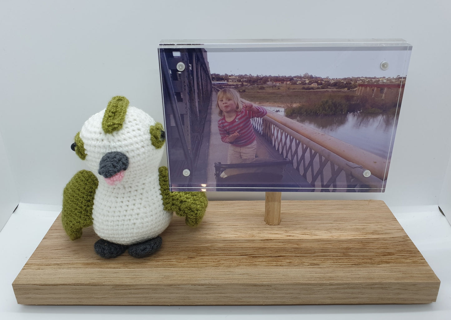 Picture Frame - Standing