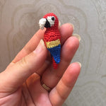 Tiny Cuteness - Parrot