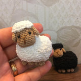Tiny Cuteness - Sheep